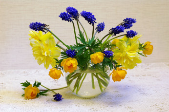 Картинка цветы букеты +композиции растения природа весна красота жёлтый цвет букетик праздник настроение нарциссы флора мускари май синий натюрморт