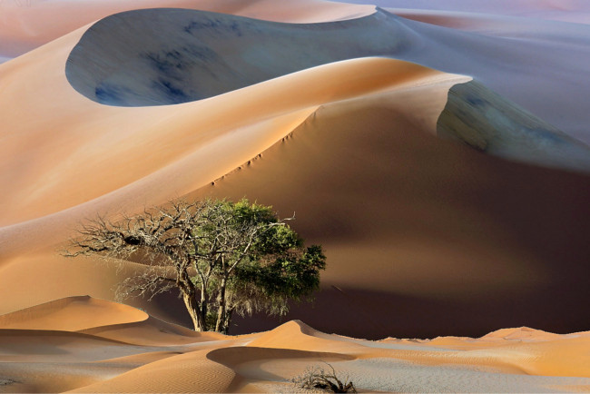 Обои картинки фото природа, пустыни, простор