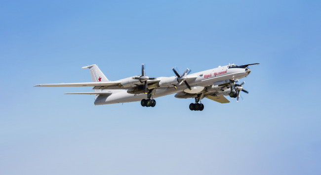 Обои картинки фото авиация, боевые самолёты, bear, ту-142, окб, туполева, россия, ввс, самолет, советский, дальний, противолодочный, bear-f