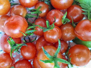 Картинка еда помидоры капли томаты