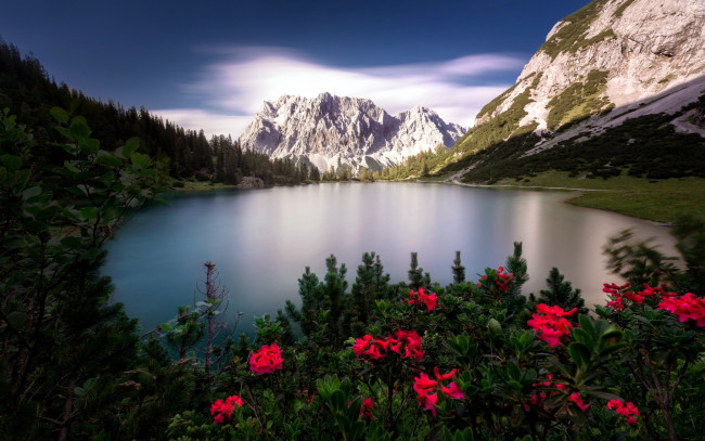 Обои картинки фото природа, реки, озера, цветы, озеро, горы