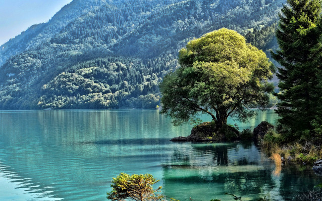 Обои картинки фото природа, реки, озера, дерево, озеро, горы