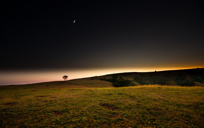 Обои картинки фото природа, луга, небо, месяц, дерево, поля