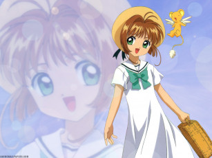 Картинка аниме card captor sakura