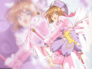 обоя аниме, card, captor, sakura