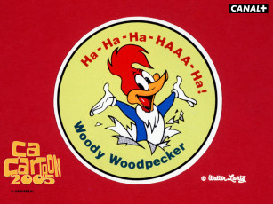 Картинка мультфильмы woody woodpecker