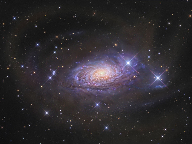 Обои картинки фото ngc, 5055, галактика, подсолнух, космос, галактики, туманности