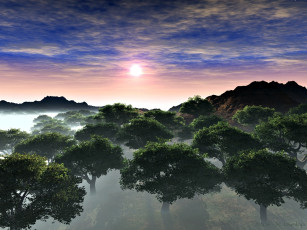 Картинка 3д графика nature landscape природа деревья туман закат