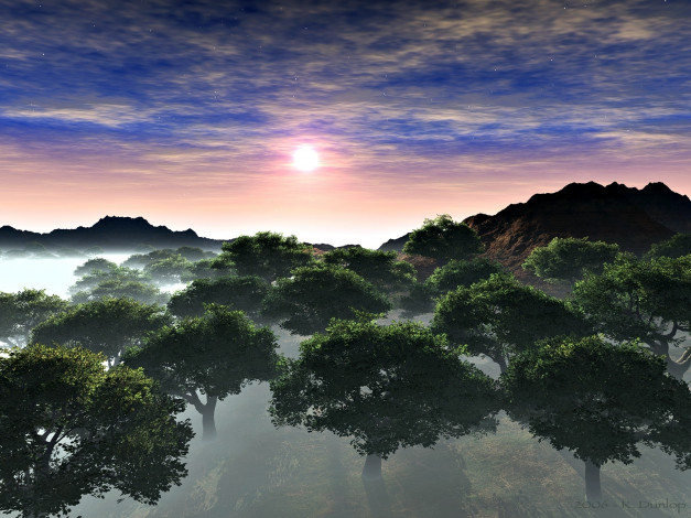 Обои картинки фото 3д, графика, nature, landscape, природа, деревья, туман, закат