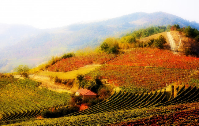 Обои картинки фото природа, поля, дымка, горы, виноградники, италия