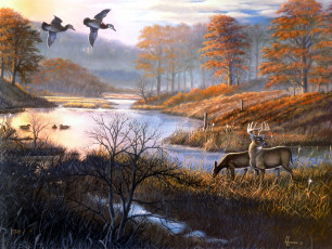 обоя duck, pond, woodies, рисованные, arthur, anderson, олени, утки, озеро, осень