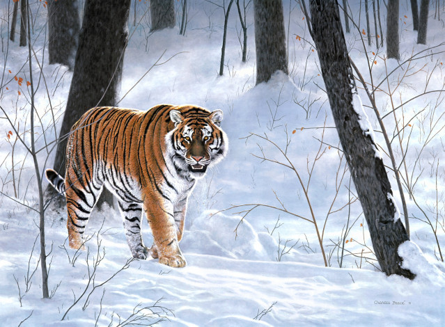 Обои картинки фото emperor, of, siberia, рисованные, charles, frace, зима, лес, тигр, животные