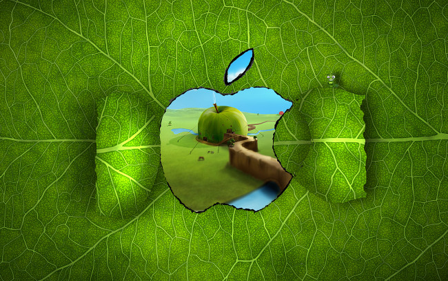 Обои картинки фото компьютеры, apple, дом, гусеница, яблоко, зелень, канаты, прожилки, окно, лист