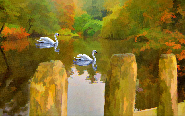 Обои картинки фото рисованные, живопись, озеро, лебеди
