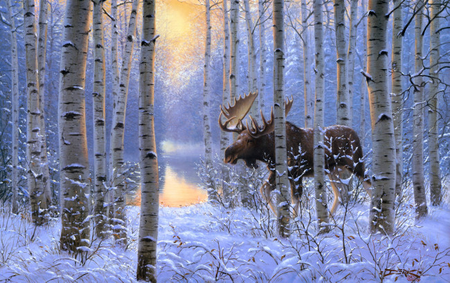 Обои картинки фото on, the, move, рисованные, derk, hansen, зима, лес, лось
