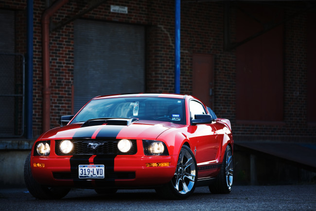 Обои картинки фото автомобили, mustang, devil, red, muscle, car