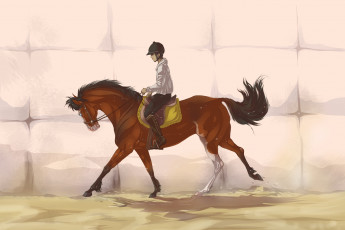 Картинка рисованные животные лошади лошадь всадник