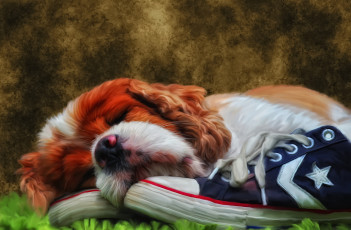 Картинка рисованные животные собаки щенок собака кеды отдых сон спящий