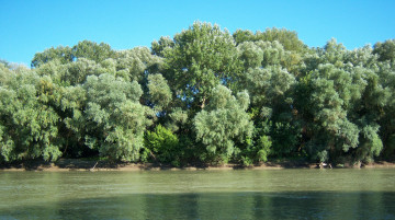 Картинка природа реки озера пейзажи