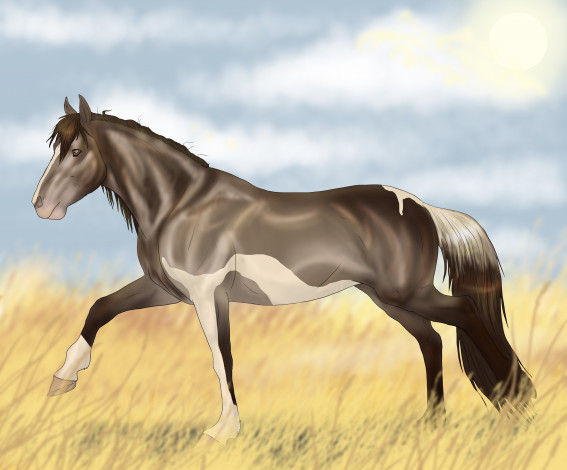 Обои картинки фото рисованные, животные, лошади, облака, поле, лошадь