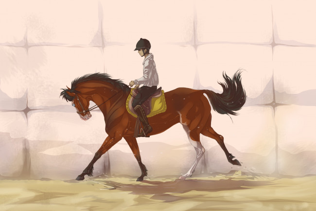 Обои картинки фото рисованные, животные, лошади, лошадь, всадник