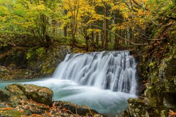 Картинка природа водопады лес осень водопад поток