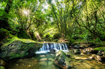 Картинка природа водопады водопад лес поток лето солнце