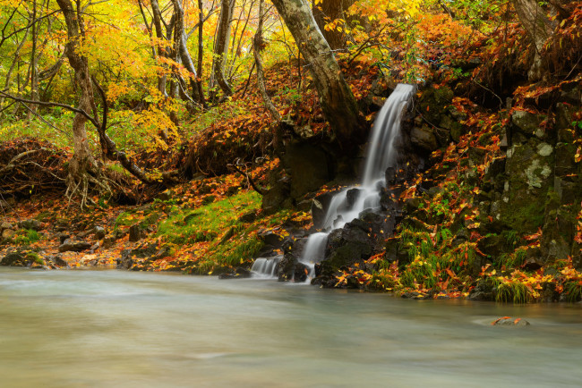 Обои картинки фото природа, водопады, поток, осень, водопад, лес, река