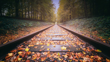 Картинка разное транспортные+средства+и+магистрали железная дорога рельсы шпалы листья осень