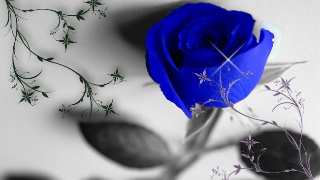 Обои картинки фото разное, компьютерный дизайн, синий, цветок, роза