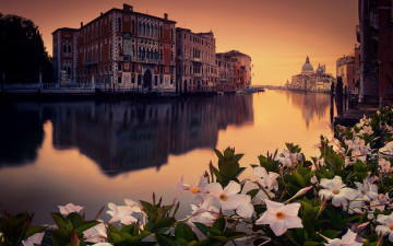 обоя города, венеция , италия, цветы, вечер, канал, закат