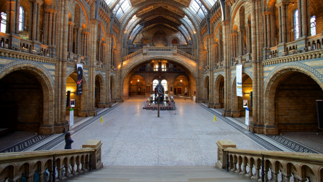 Обои картинки фото london natural history museum, интерьер, дворцы,  музеи, london, natural, history, museum