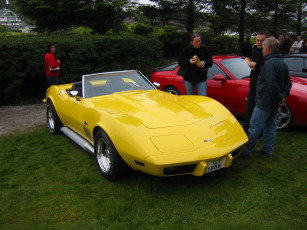 Картинка chevrolet corvette автомобили выставки уличные фото