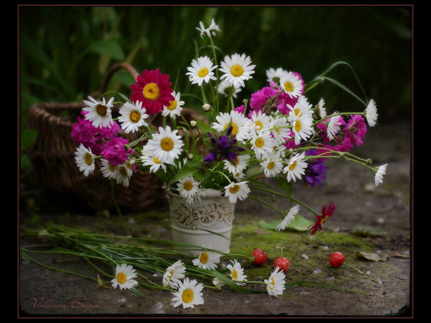 Обои картинки фото volkova, irina, natural, still, life, цветы, букеты, композиции