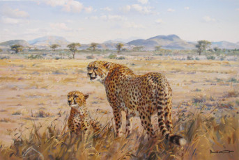 Картинка donald grant рисованные животные гепарды саванна