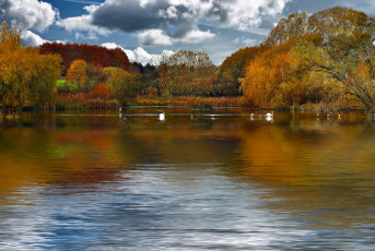 Картинка природа реки озера деревья облака
