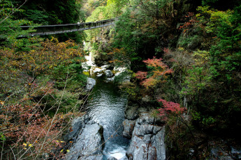 Картинка природа реки озера мостик камни лес
