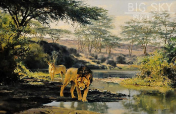Картинка donald grant рисованные львы