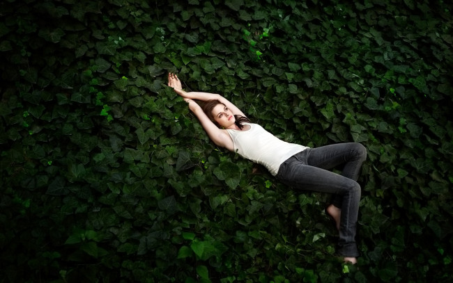 Обои картинки фото Kristen Stewart, девушки, , , среди, листьев