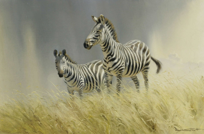 Обои картинки фото donald, grant, рисованные, животные, зебры