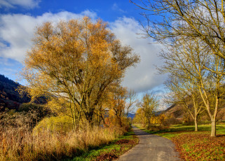 Картинка германия нерен природа дороги дорога осень