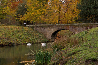 Картинка англия барнсли дистрикт природа парк мостик река