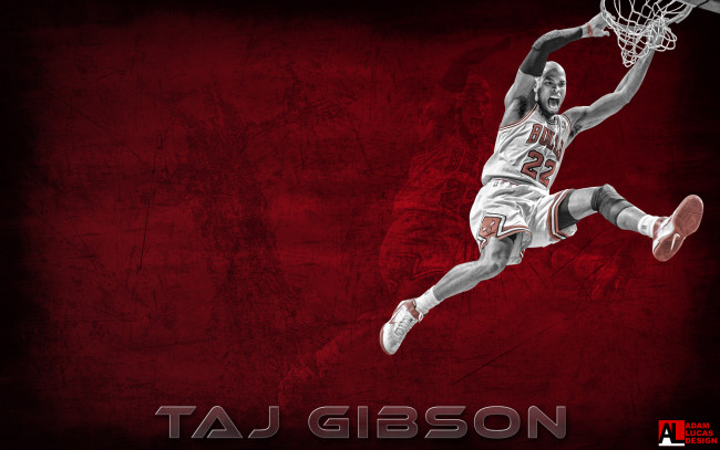 Обои картинки фото taj, gibson, спорт, nba, баскетбол, нба