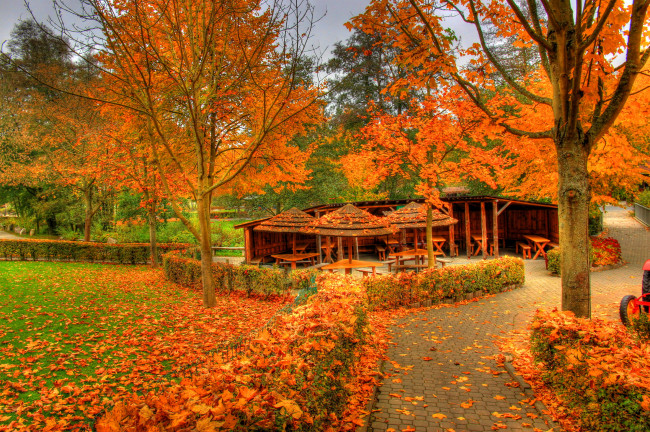 Обои картинки фото германия, заальбургзидлунг, природа, парк, осень