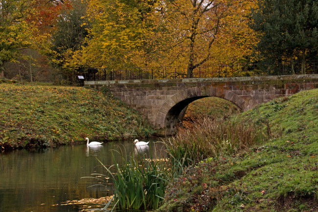 Обои картинки фото англия, барнсли, дистрикт, природа, парк, мостик, река