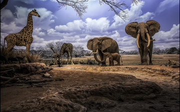 Картинка рисованные животные жирафы слоны саванна