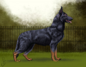 Картинка рисованное животные +собаки фон взгляд собака