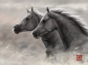 обоя рисованное, животные,  лошади, пара, ветер, кони, лошади