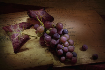 Картинка еда виноград винтаж гроздь ягоды книга текстура