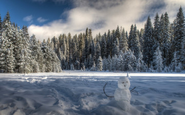 Картинка праздничные снеговики ели деревья снег лес yosemite national park зима калифорния california йосемити национальный парк снеговик